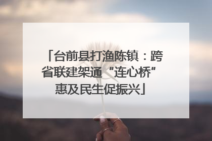 台前县打渔陈镇：跨省联建架通“连心桥” 惠及民生促振兴