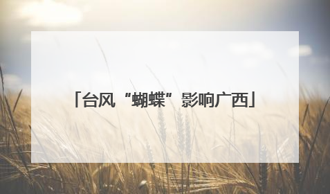 台风“蝴蝶”影响广西