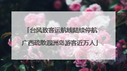 台风致客运航线陆续停航 广西疏散涠洲岛游客近万人