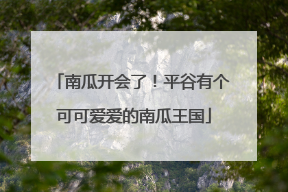南瓜开会了！平谷有个可可爱爱的南瓜王国