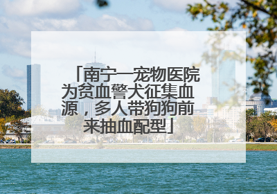 南宁一宠物医院为贫血警犬征集血源，多人带狗狗前来抽血配型