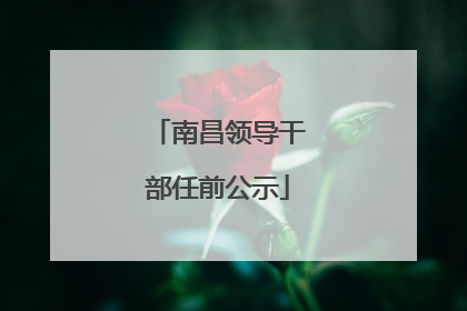 南昌领导干部任前公示