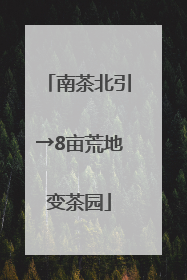 南茶北引→8亩荒地变茶园