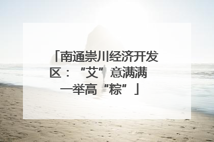 南通崇川经济开发区：“艾”意满满 一举高“粽”