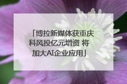 博拉新媒体获重庆科风投亿元增资 将加大AI企业应用