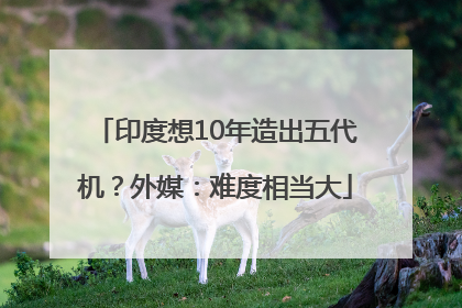 印度想10年造出五代机？外媒：难度相当大