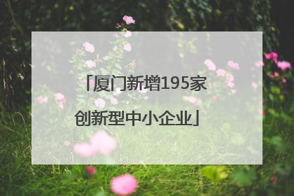 厦门新增195家创新型中小企业