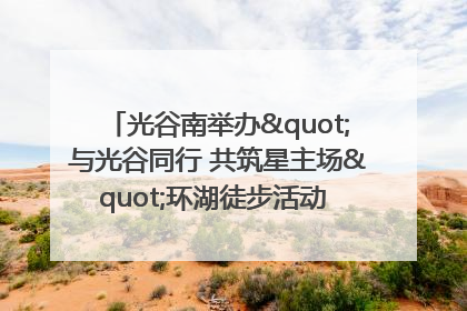 光谷南举办"与光谷同行 共筑星主场"环湖徒步活动 吸引500余名市民参与