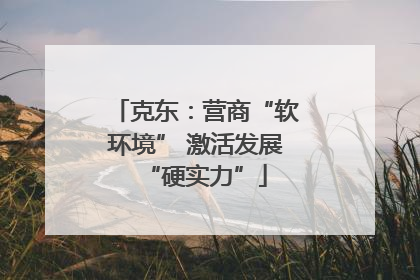 克东：营商“软环境” 激活发展“硬实力”