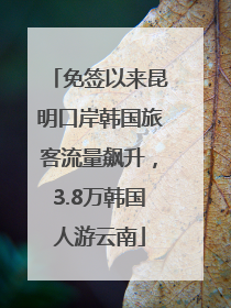 免签以来昆明口岸韩国旅客流量飙升，3.8万韩国人游云南
