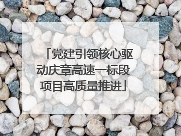 党建引领核心驱动庆章高速一标段项目高质量推进