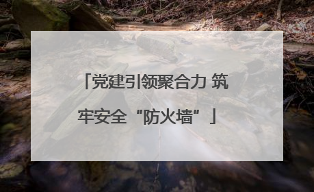 党建引领聚合力 筑牢安全“防火墙”