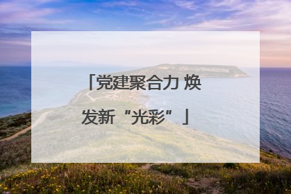 党建聚合力 焕发新“光彩”