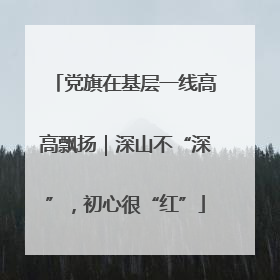 党旗在基层一线高高飘扬｜深山不“深”，初心很“红”