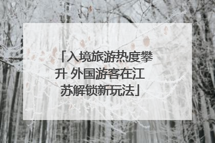 入境旅游热度攀升 外国游客在江苏解锁新玩法