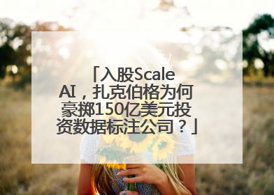 入股Scale AI，扎克伯格为何豪掷150亿美元投资数据标注公司？
