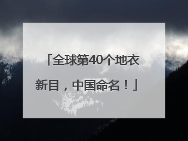 全球第40个地衣新目，中国命名！