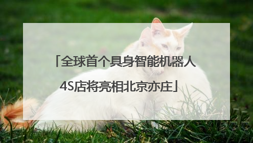 全球首个具身智能机器人4S店将亮相北京亦庄