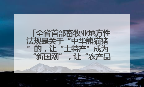 全省首部畜牧业地方性法规是关于“中华熊猫猪”的，让“土特产”成为“新国潮”，让“农产品”升格为“城市IP”