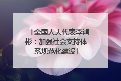 全国人大代表李鸿彬：加强社会支持体系规范化建设