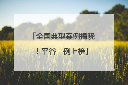全国典型案例揭晓！平谷一例上榜
