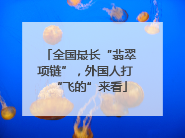 全国最长“翡翠项链”，外国人打“飞的”来看