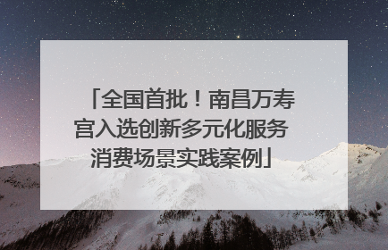 全国首批！南昌万寿宫入选创新多元化服务消费场景实践案例