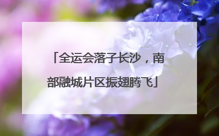 全运会落子长沙，南部融城片区振翅腾飞