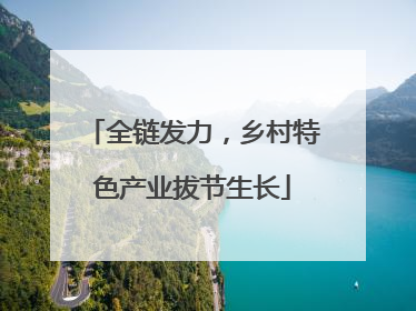 全链发力，乡村特色产业拔节生长