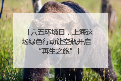 六五环境日，上海这场绿色行动让空瓶开启 “再生之旅”