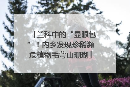 兰科中的“显眼包”！内乡发现珍稀濒危植物毛萼山珊瑚