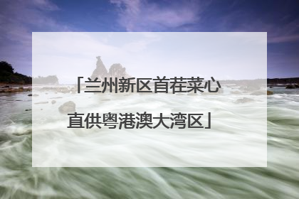 兰州新区首茬菜心直供粤港澳大湾区