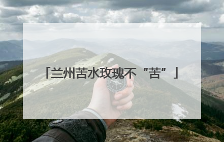 兰州苦水玫瑰不“苦”