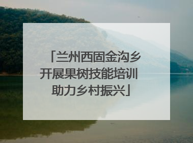 兰州西固金沟乡开展果树技能培训 助力乡村振兴