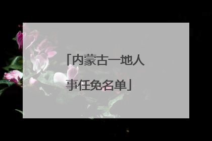 内蒙古一地人事任免名单