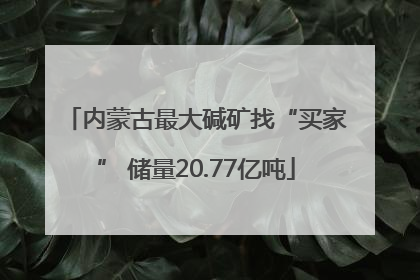 内蒙古最大碱矿找“买家” 储量20.77亿吨