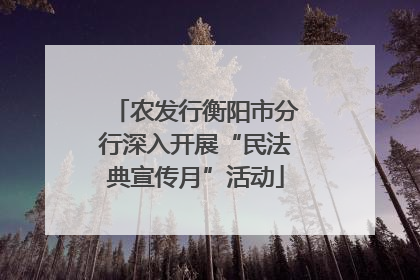 农发行衡阳市分行深入开展“民法典宣传月”活动