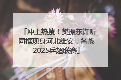冲上热搜！樊振东许昕同框现身河北雄安，备战2025乒超联赛