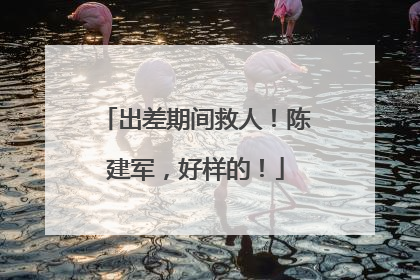 出差期间救人！陈建军，好样的！