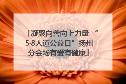 凝聚向善向上力量 “5·8人道公益日”扬州分会场有爱有健康