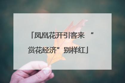凤凰花开引客来 “赏花经济”别样红