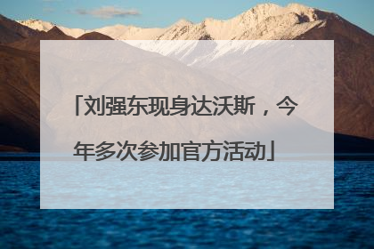 刘强东现身达沃斯，今年多次参加官方活动