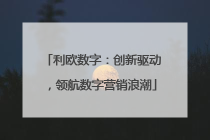 利欧数字：创新驱动，领航数字营销浪潮