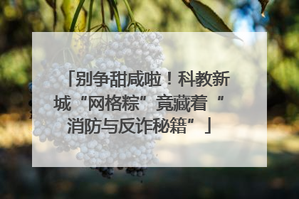 别争甜咸啦！科教新城“网格粽”竟藏着“消防与反诈秘籍”