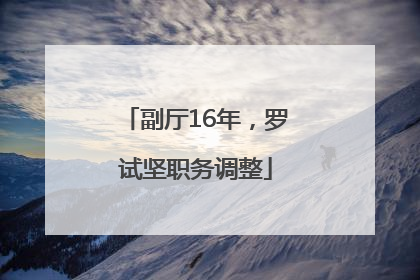 副厅16年，罗试坚职务调整