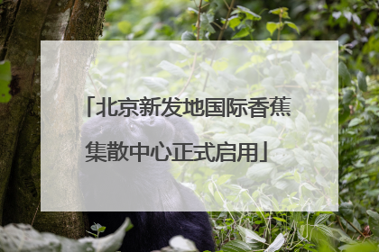 北京新发地国际香蕉集散中心正式启用