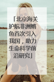 北京海关护航非洲鳉鱼首次引入我国，助力生命科学前沿研究