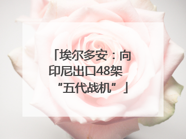 埃尔多安：向印尼出口48架“五代战机”