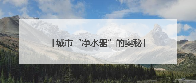 城市“净水器”的奥秘