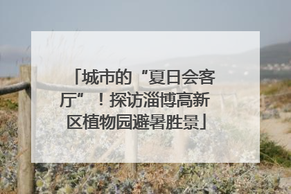 城市的“夏日会客厅”！探访淄博高新区植物园避暑胜景